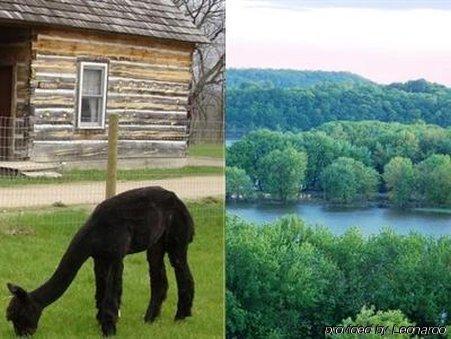 Galena Log Cabin Getaway Zewnętrze zdjęcie
